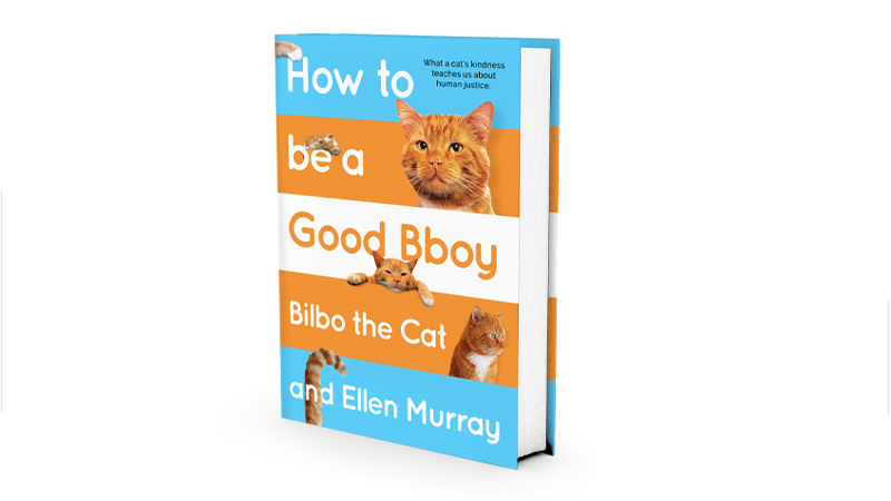 How to be a Good Bboy