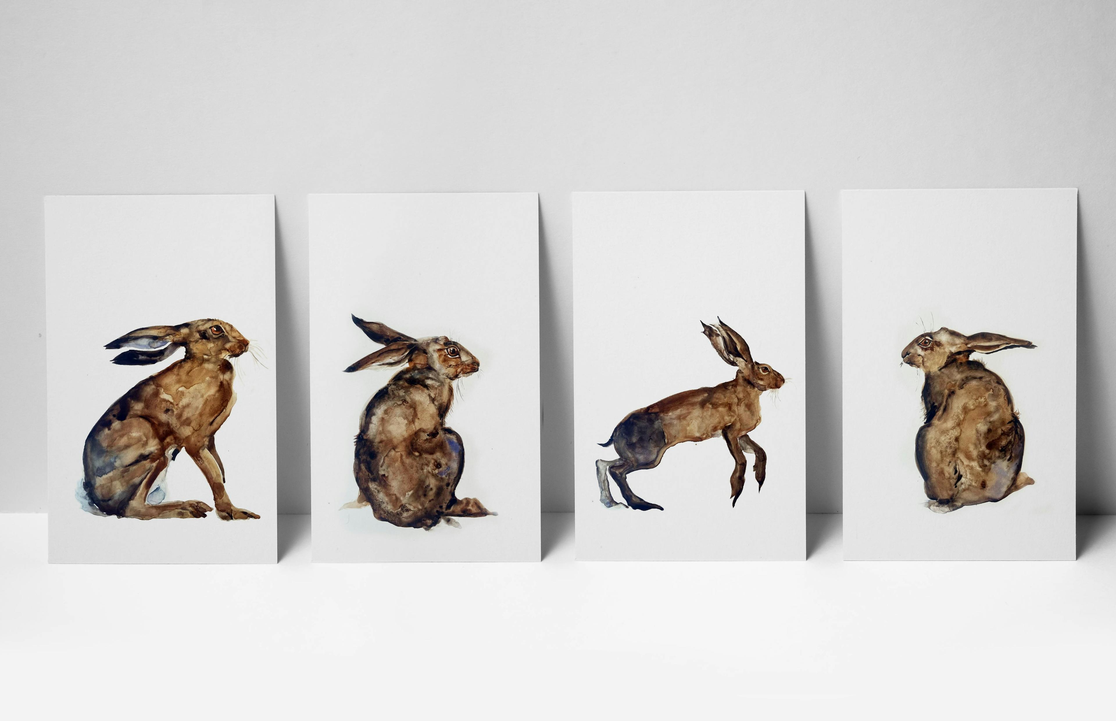 Hare Postcards