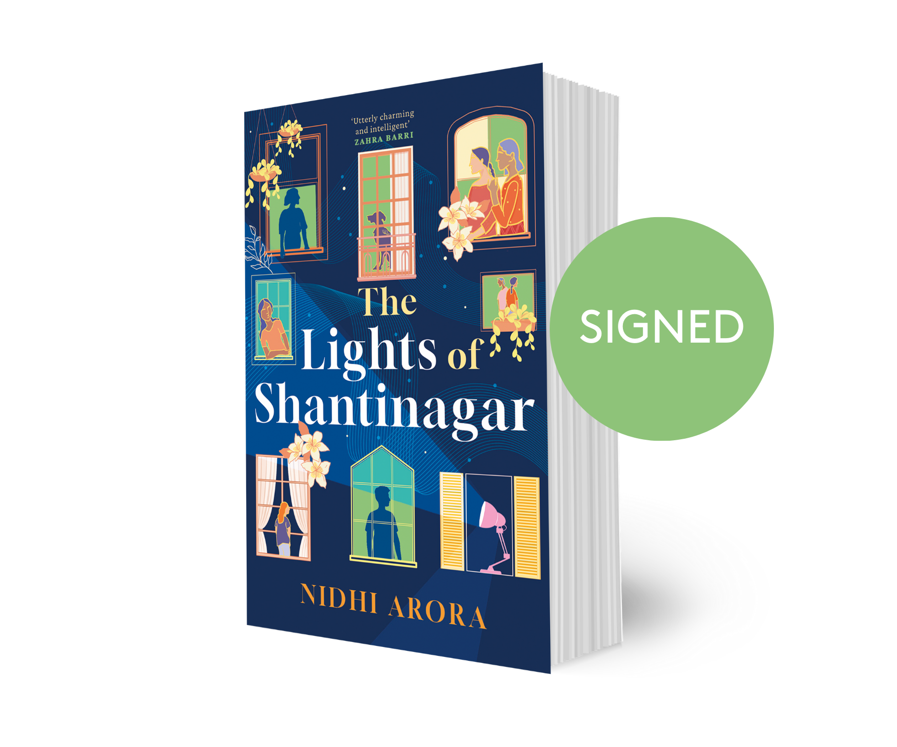 The Lights of Shantinagar