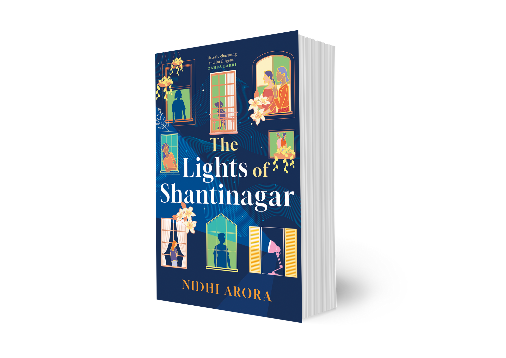 The Lights of Shantinagar